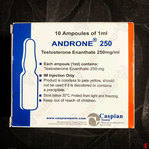 Androne 1ml 250 Mg Caspian