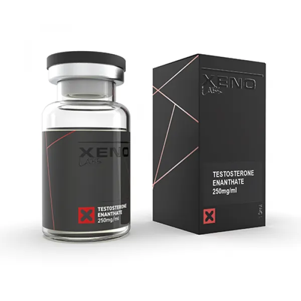 Testosterone Enanthate 250 Mg 10 Ml Xeno INT